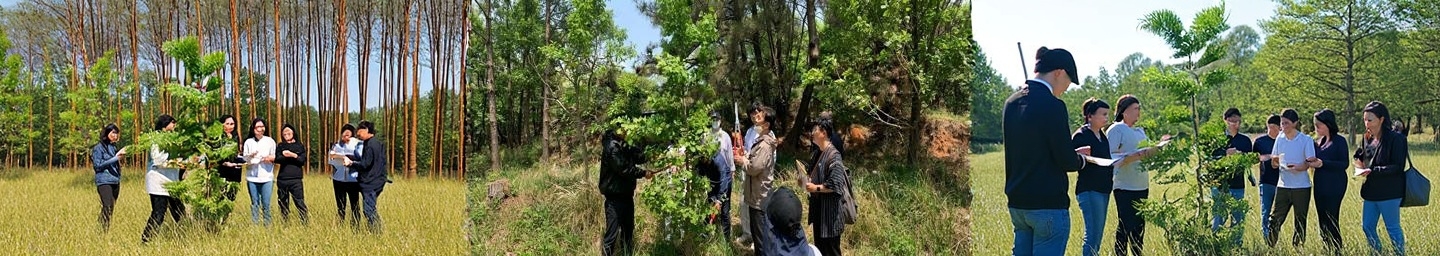 배경이미지